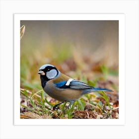 Blue Tit 45 Art Print