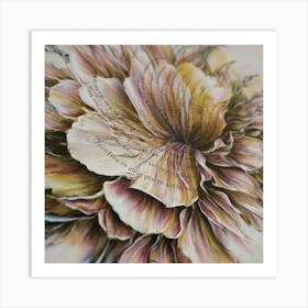 Chrysanthemum Art Print