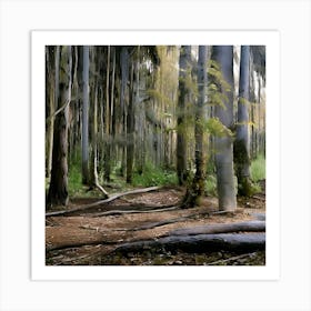 Forest Art Print