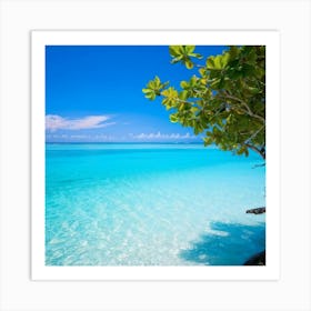 Relax Ocean Plant Idylli Holiday Coastline Beautiful Calm Shore Blue Paradise Sunlight N (24) Art Print