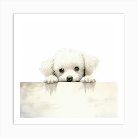 White Dog Peeking Over A Sign Art Print