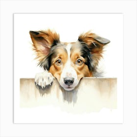 Border Collie 11 Art Print