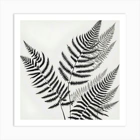 Fern Leaves Art Print