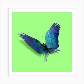 Parrot Butterfly Square Art Print