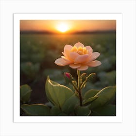 Lotus Flower At Sunset 1 Art Print