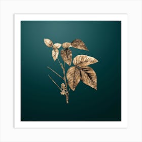 Gold Botanical Eastern Poison Ivy on Dark Teal n.4629 Art Print