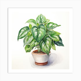 Philodendron Art Print