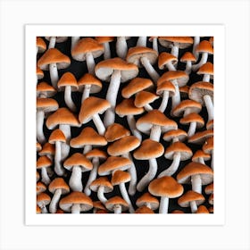 Mushrooms On A Black Background 3 Art Print