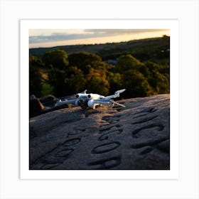 Drone On A Rock Art Print