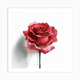 Red Rose Art Print