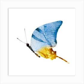 Butterfly Art Print