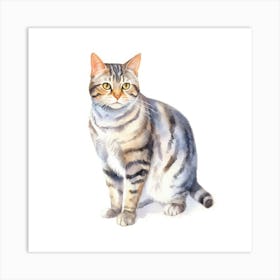 American Wirehair Shorthair Cat Portrait Art Print