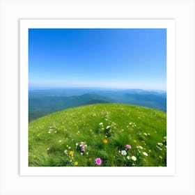 Wildflowers On A Mountain Art Print