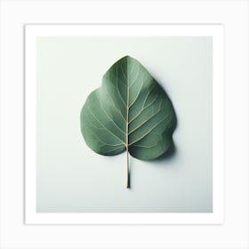Eucalyptus Leaf 12 Art Print