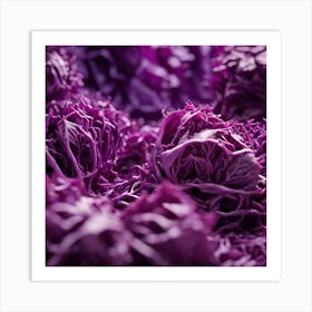 Purple Cabbage Close Up 2 Art Print