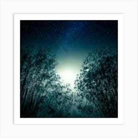 Firefly 8k, Top Quality, Live Action, Center, Dark, Night, Midnight, Starry Sky, Bamboo, Dense, Fog, Art Print