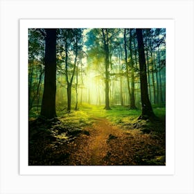 Sunrise In The Forest Photo Poster