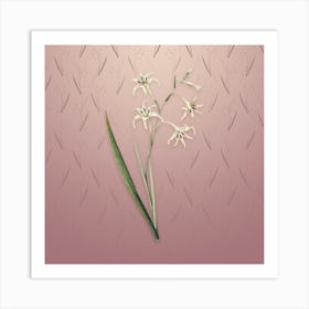 Vintage Gladiolus Cuspidatus Botanical on Dusty Pink Pattern n.0909 Art Print