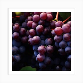 Grapes On Vine 1 Art Print