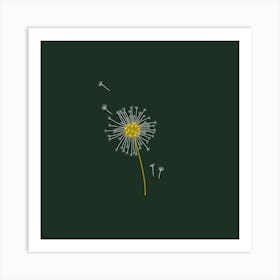 Dandelion Seeds Flowers Botanical Art Print