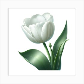 White Tulip Art Print