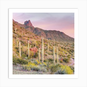 Pastel Saguaro Sunset Art Print