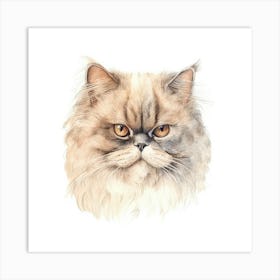 Persian Himalayan Cat Portrait 1 Art Print