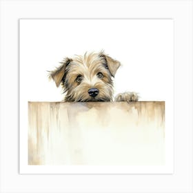 Yorkshire Terrier 16 Art Print