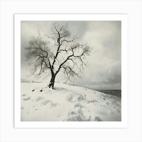 Lone Tree 1 Art Print