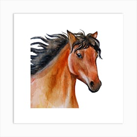 Horse Watercolor Painting.uk 2 Art Print