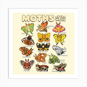 Moths Of The World Affiche