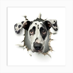 Dalmatian 5 Art Print