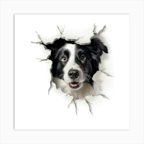 Border Collie Art Print