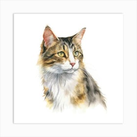 American Wirehair Longhair Cat Portrait 3 Art Print