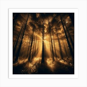 Forest Of Light 2 Art Print