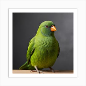 Green Bird Art Print