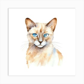 Tonkinese Mink Cat Portrait 3 Art Print