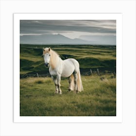 White Horse In The Field 1 Art Print