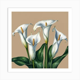 Calla Lily Art Print