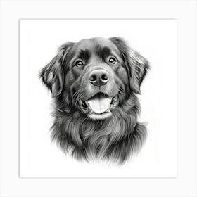 Leonberger Art Print