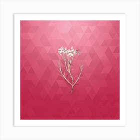 Vintage Shewy Phlox Flower Botanical in Gold on Viva Magenta n.0069 Art Print