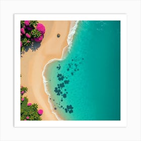 Aerial View Of A Tropical Beach Art Print