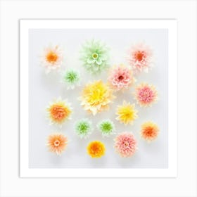 Dahlias Art Print