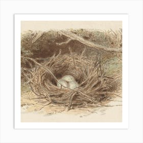 Nest 3 Art Print