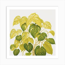 Philodendron myluckycharm Art Print