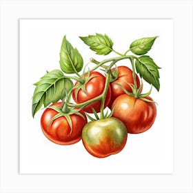 Realistic Watercolor Painting Of Tomatoes Art Print