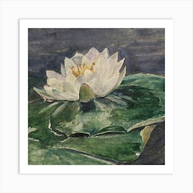 Water Lilies 5 Art Print