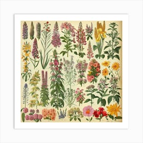 Wildflowers Print Art Print