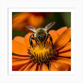 Bee On A Flower 3 Art Print