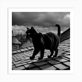 Black Cat On Roof 1 Art Print